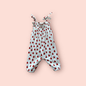 Lady Bug Romper